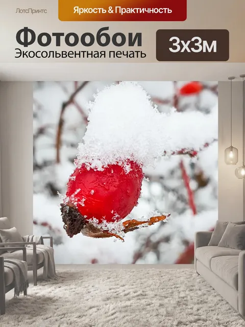 Фотообои Шиповник зимой