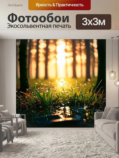 Фотообои рассвет в лесу, с яркими отражениями света на мокрой траве и каплях росы
