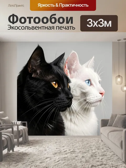 Фотообои Черный и белый коты