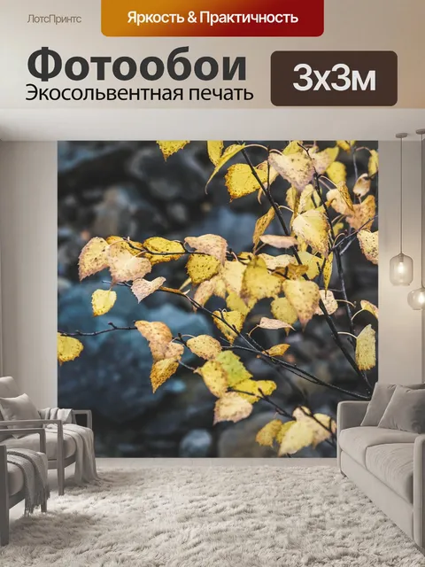 Фотообои Дерево березы