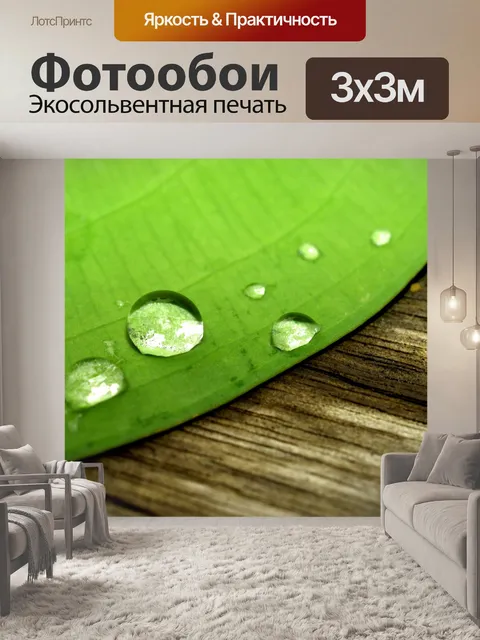 Фотообои Капля воды на листе