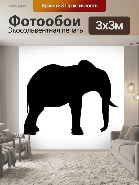 Фотообои Силуэт
