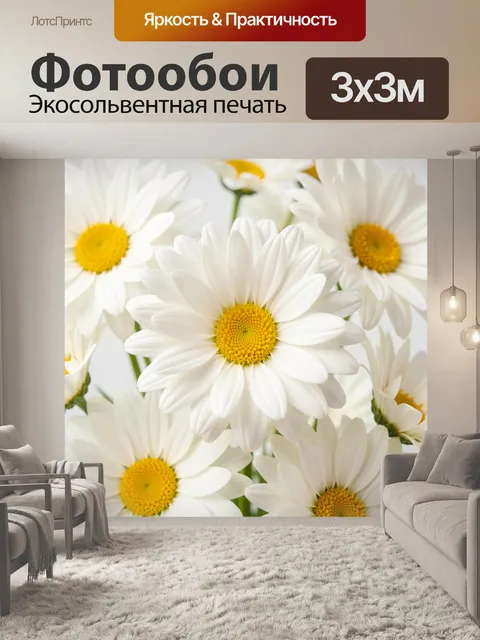 Фотообои Белые ромашки крупным планом