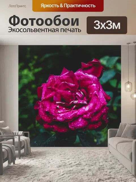 Фотообои Розы