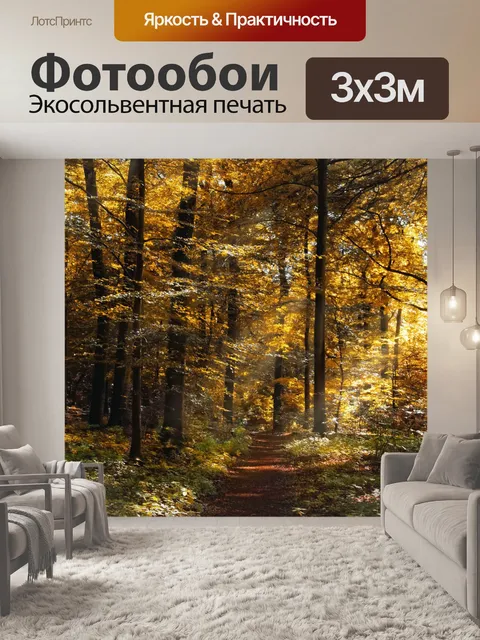 Фотообои Лесная тропа тропинка осень