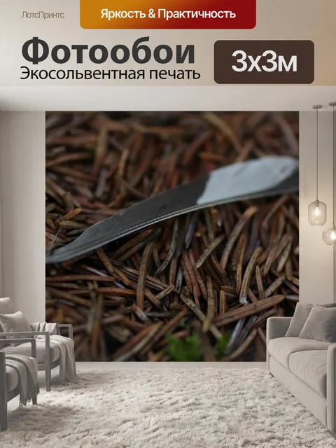 Фотообои Fallen перо в лесу