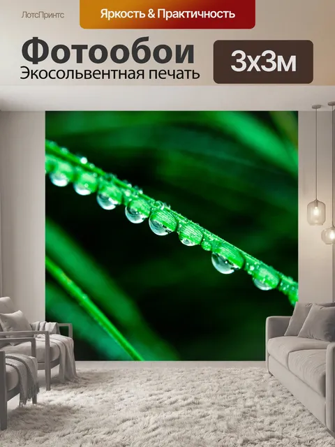 Фотообои Роса