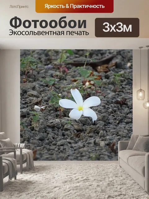 Фотообои Цветы
