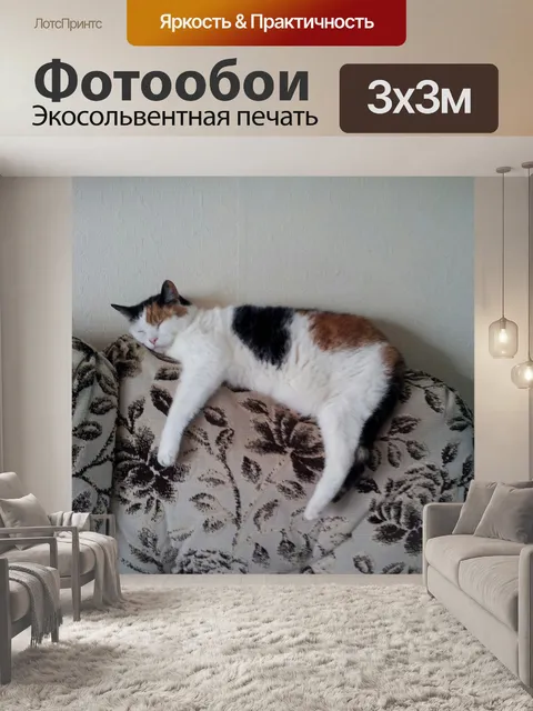 Фотообои Кошка