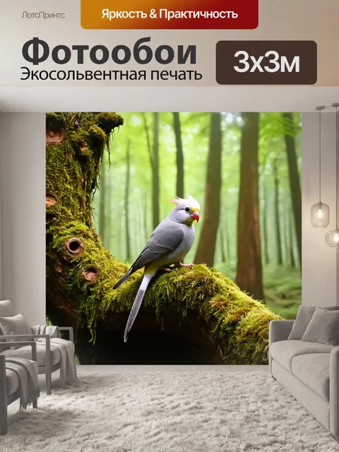Фотообои корелла, сидящая на старом, покрытом мхом дереве в волшебном лесу