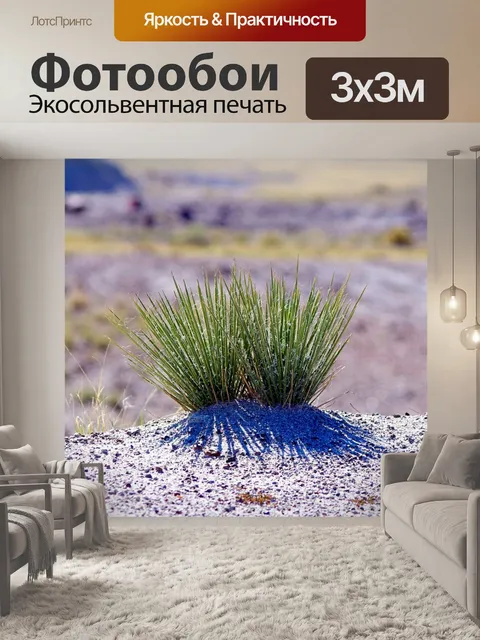 Фотообои Узкие листья юкки в аризоне
