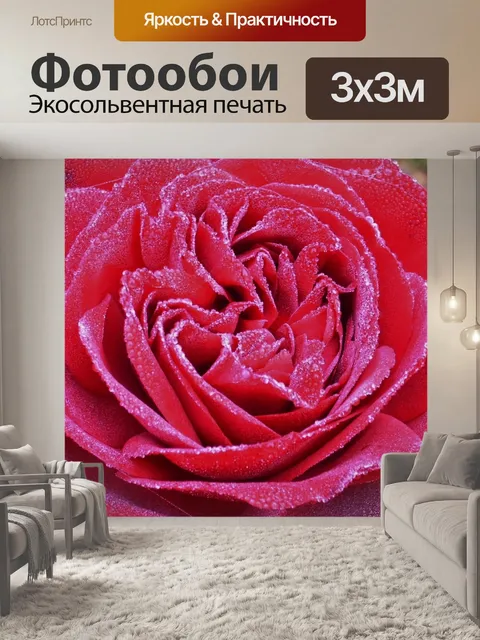 Фотообои Роза