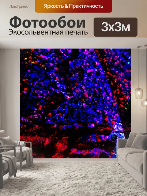 Фотообои Гранж абстрактный красный желтый черный