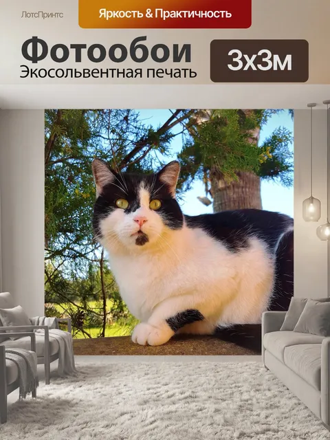 Фотообои Зеленые глаза