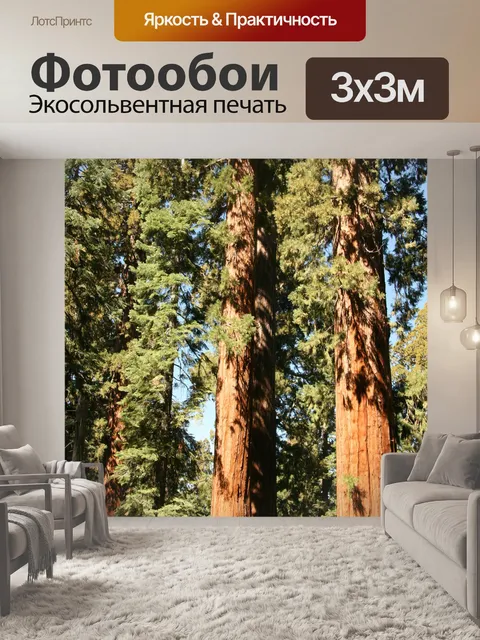 Фотообои Гигантские секвойи в Йосемити