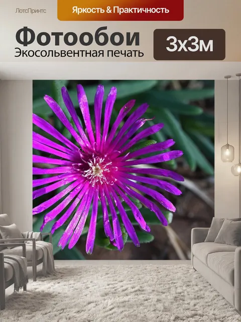 Фотообои ярко-розовые месем сочные цветы