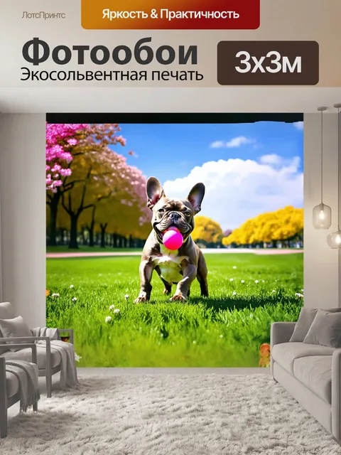 Фотообои французский бульдог, играющий с ярким мячом на зеленом травяном покрытии в парке, можно увидеть как он…