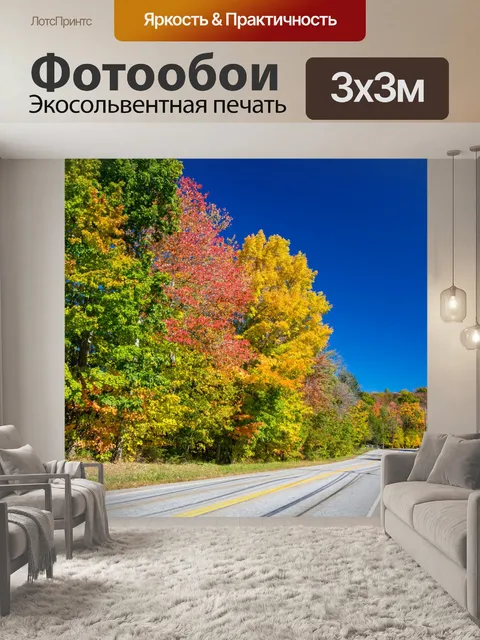 Фотообои Осенняя дорога