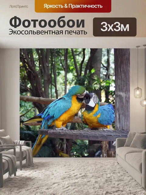 Фотообои Попугаи ара
