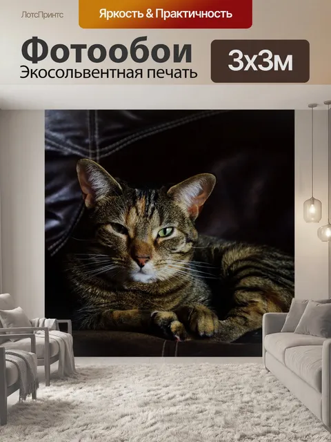 Фотообои Кошка