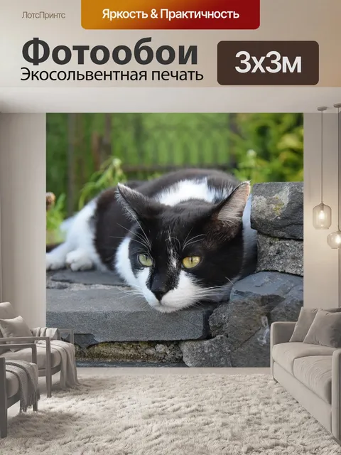 Фотообои Похмелье