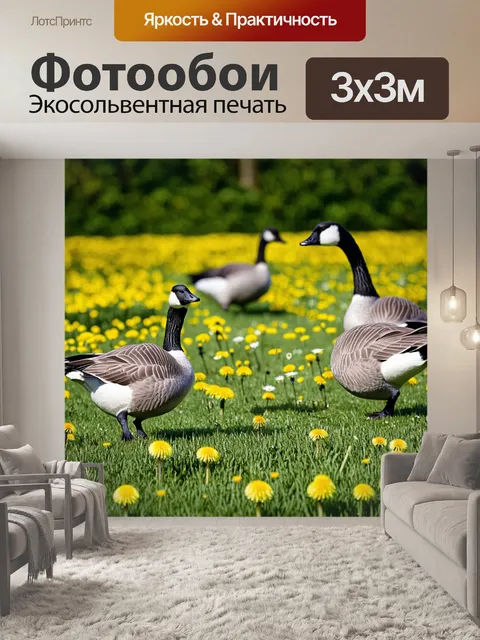 Фотообои сцена питания гусей в поле среди цветущих одуванчиков