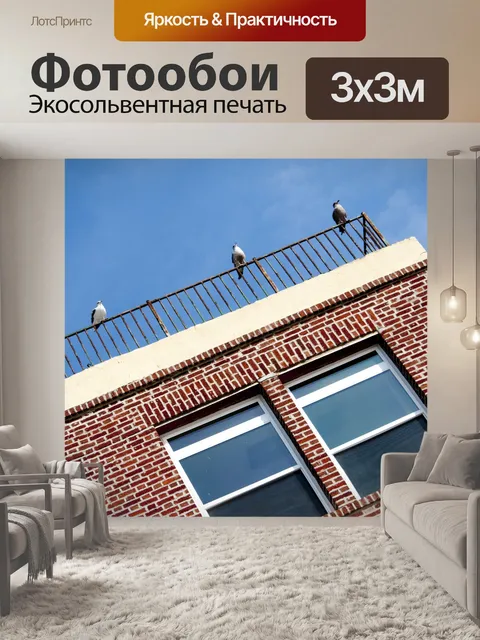 Фотообои чайки на крыше