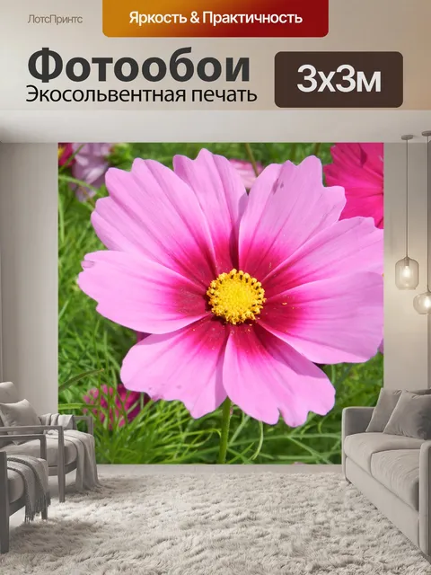 Фотообои Космос Соната 2018 2