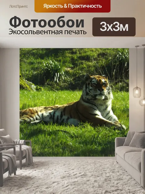 Фотообои Тигр
