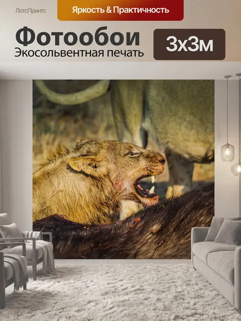 Фотообои Лев