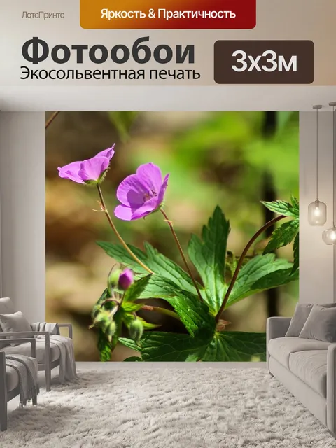 Фотообои Скайлайн драйв