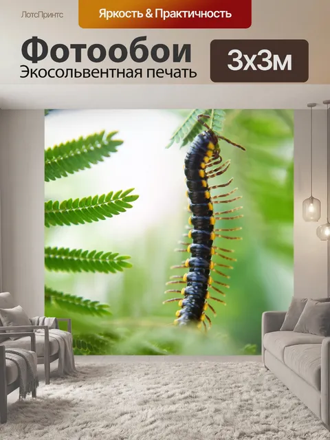Фотообои Игривая сороконожка 2