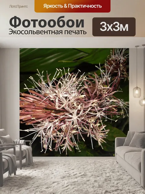 Фотообои Странные цветы