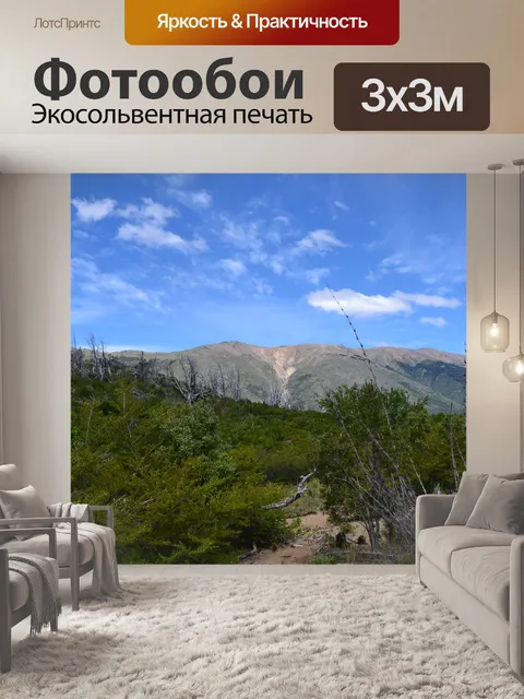 Фотообои Аргентина