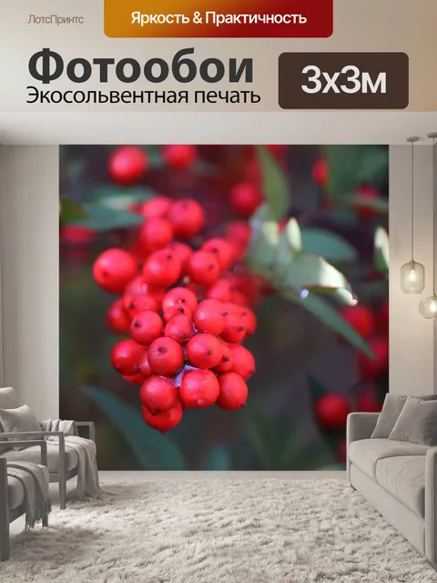 Фотообои красные ягоды на священном бамбуке