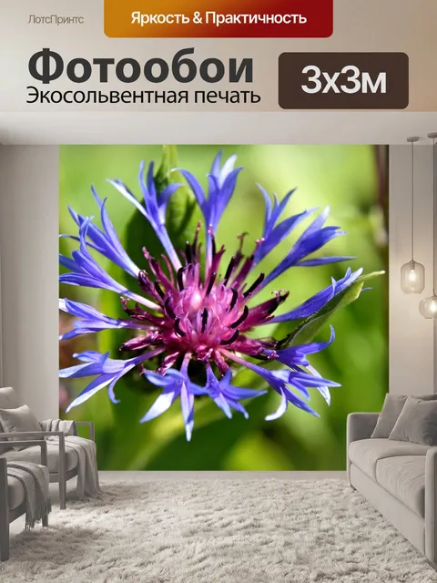 Фотообои Васильковый
