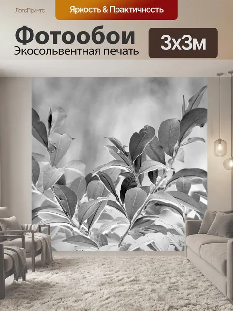 Фотообои черный и белый листвы