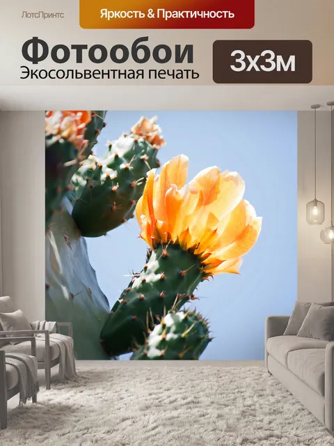 Фотообои оранжевый цветок опунции