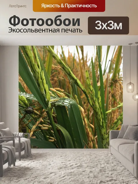 Фотообои Пэдди