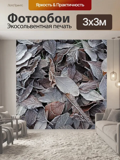 Фотообои Наземный иней