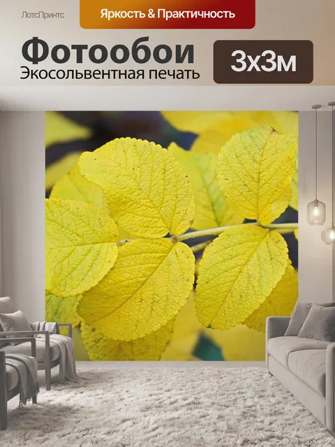 Фотообои Падают листья морщинистый роза