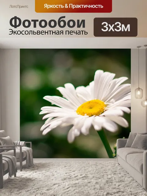 Фотообои Календулы