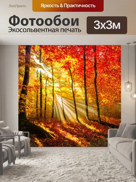 Фотообои осенние листья в ярких оттенках красного и желтого, солнечные лучи проникают в чащу
