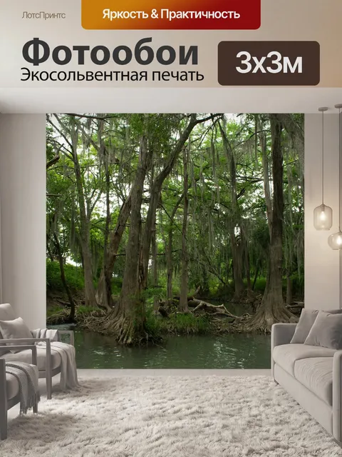 Фотообои Болото