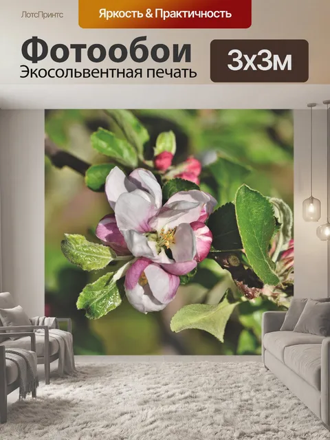 Фотообои Яблоневый цвет