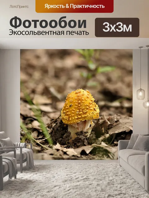 Фотообои Золотой гриб мухомор