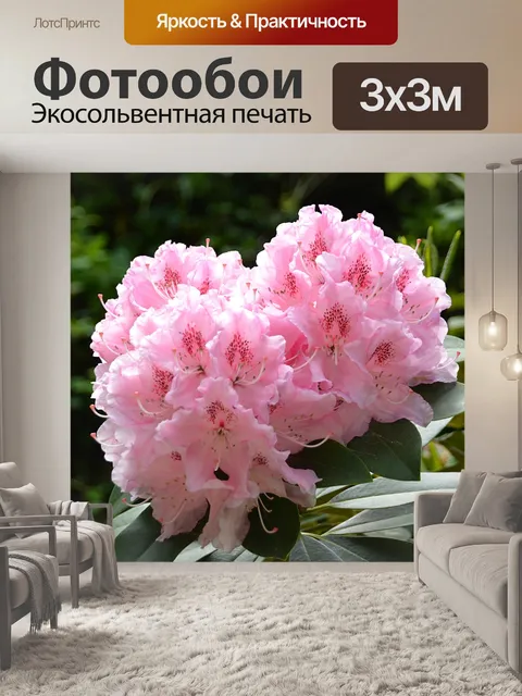 Фотообои Рододендроны