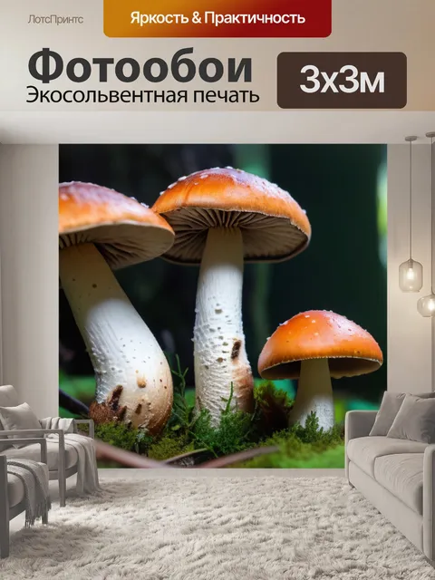 Фотообои лесные грибы