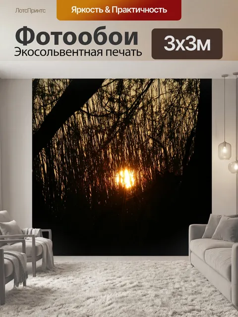 Фотообои Солнце вглядываясь через высокой травой