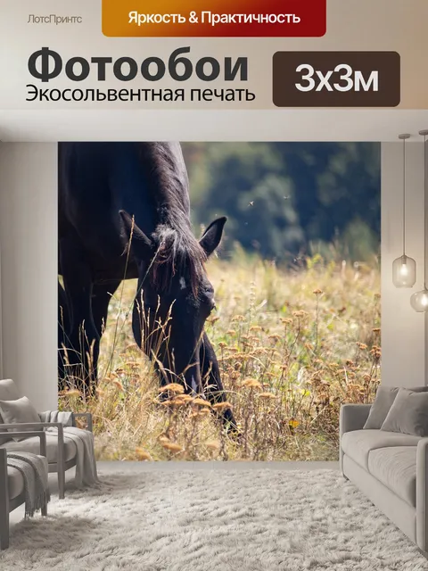 Фотообои Черная лошадь